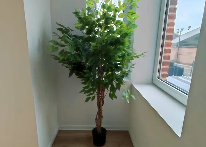 La Parenthèse Corbehemoise, Stationnement, Wifi * Corbehem